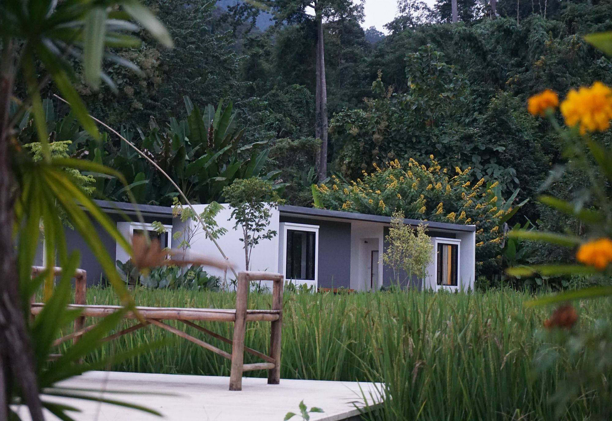 Villa De View Чианг Дао Экстерьер фото